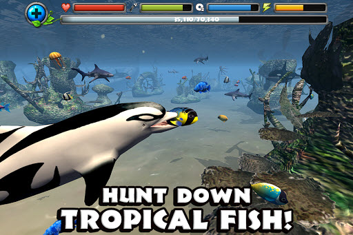 海豚模拟器中文版截图2