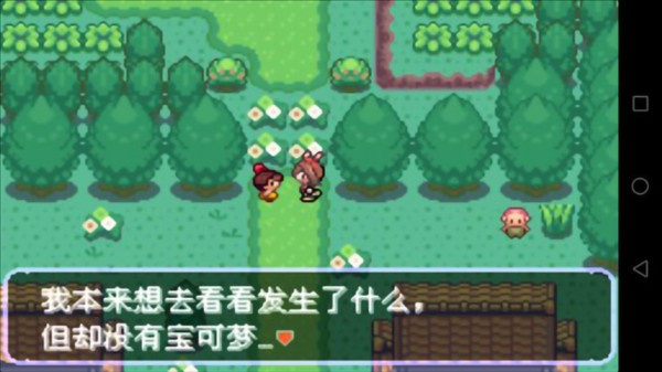 口袋妖怪刽曜之影5