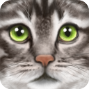 终极猫模拟器内置菜单