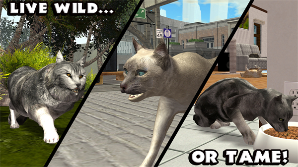 终极猫模拟器内置菜单截图1