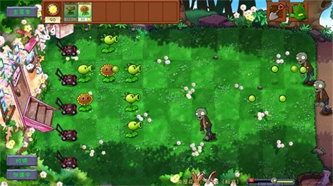植物大战僵尸共生版最新版截图4