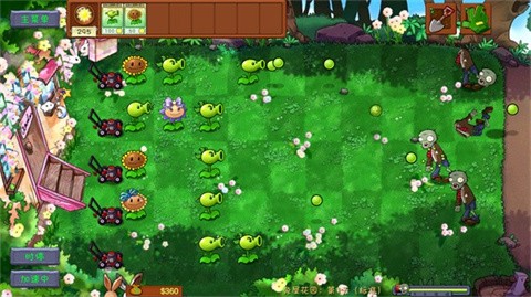 植物大战僵尸共生版最新版截图3