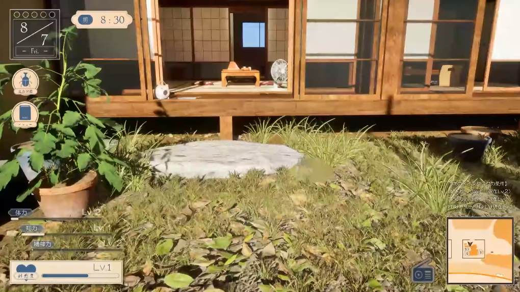 夏姐我恋爱的30天