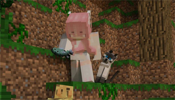 我的世界猫娘模组资源包