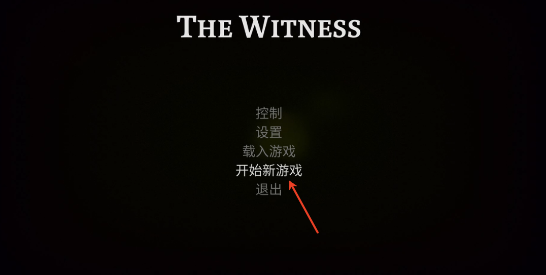 见证者The Witness