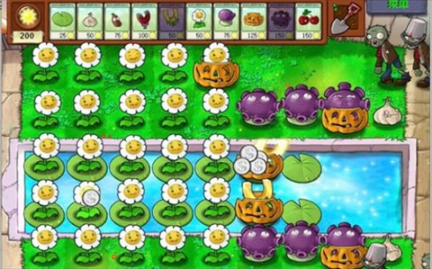 植物大战僵尸c支线版