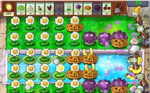 植物大战僵尸c支线版