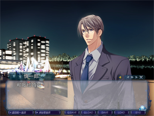 银之冠碧之泪截图3