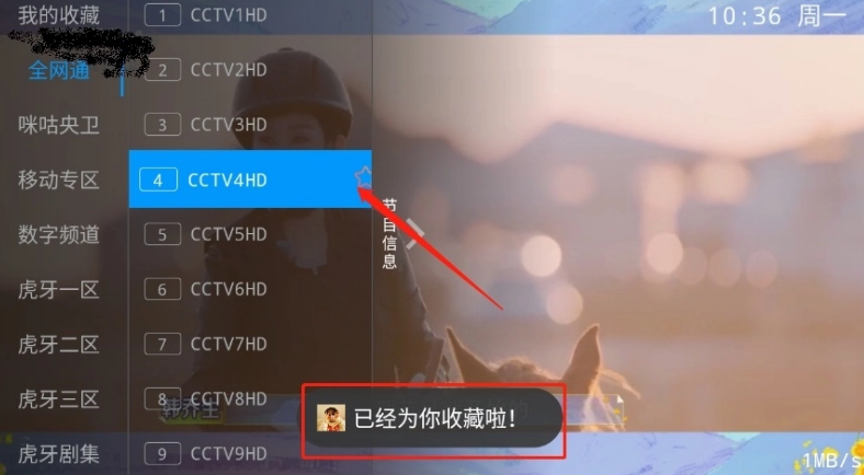 飞扬直播电视版