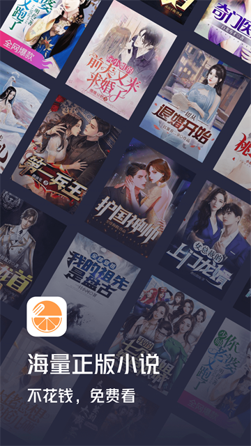 青橙小说免费版截图2