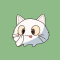 猫印相机1.0