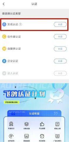 飞鸽博客