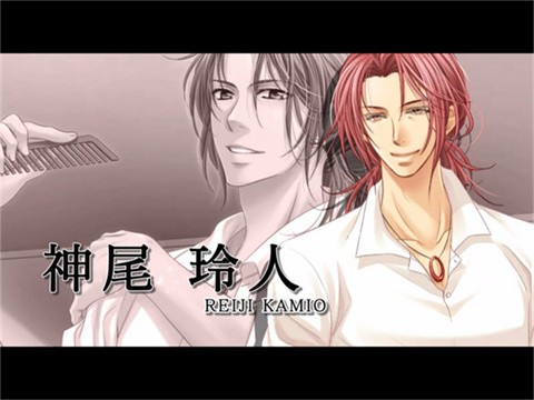 银之冠碧之泪ios版