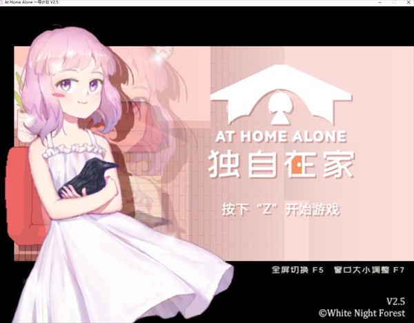 独自在家游戏安卓版