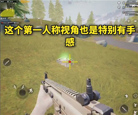 画质mxpro正版