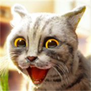 猫咪模拟器2中文版