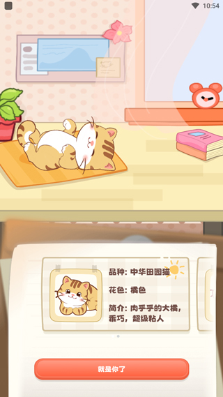 桌面喵app最新版