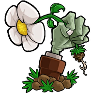 植物大战僵尸转基因版2.3.5