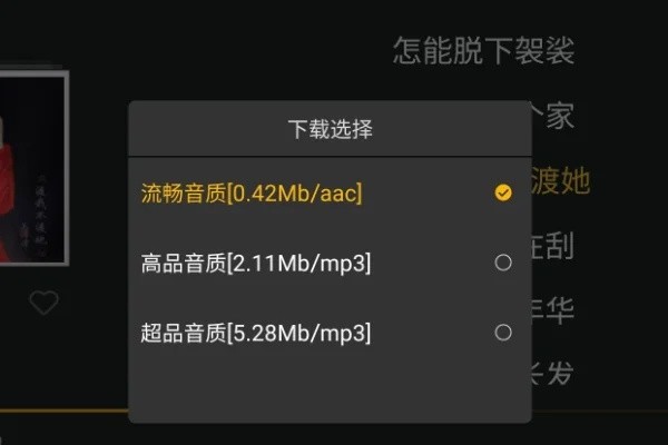酷我音乐耗子永久vip版