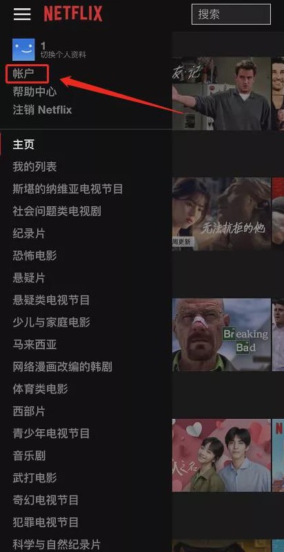 Netflix手机版