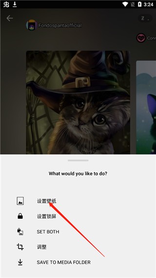 zedge壁纸安卓版