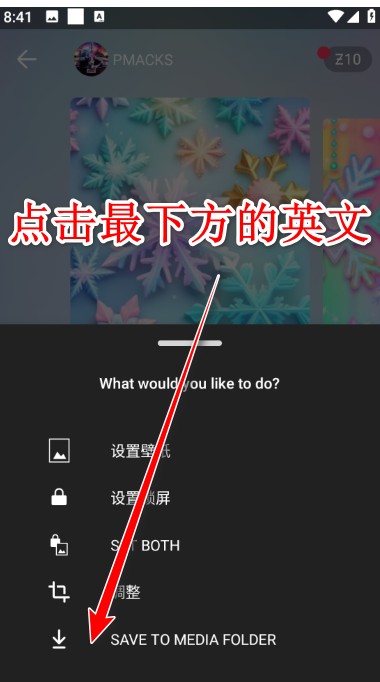 zedge壁纸安卓版