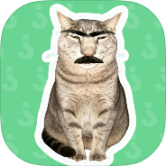 新疆的猫语音盒