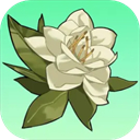 小城茉莉手游