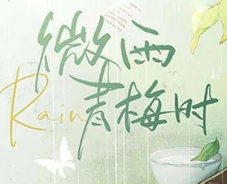 微雨青梅时