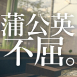 蒲公英不屈游戏